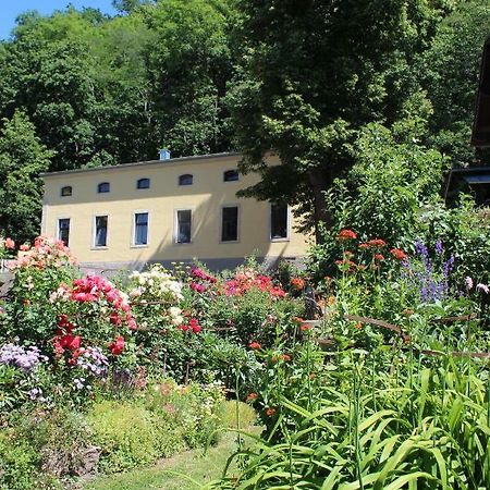 Ferienwohnung Goldgrund Meissen Exterior photo